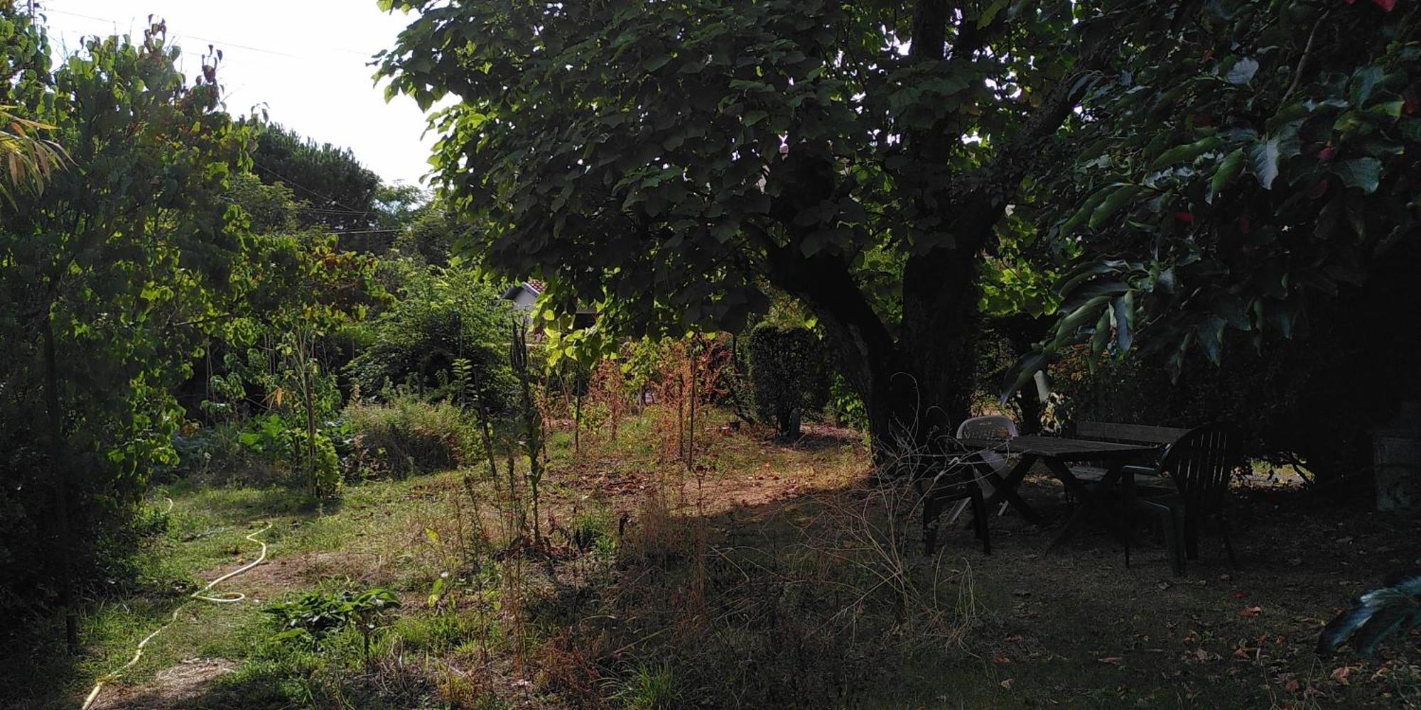 Villa Lulu Mérignac Екстериор снимка